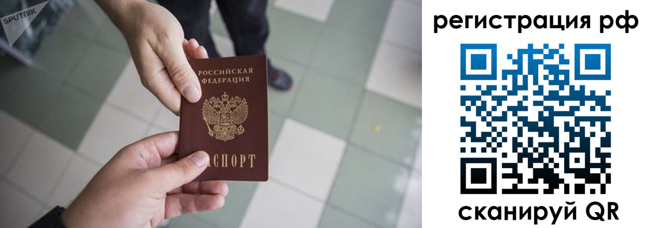 прописка гарантия в Зернограде